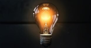 Profitable Small Business Ideas